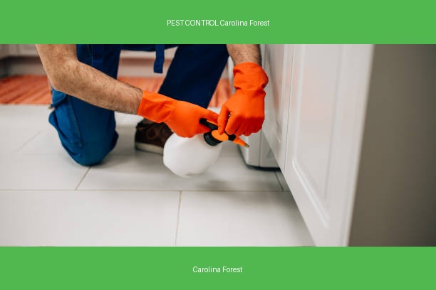 PEST CONTROL Carolina Forest